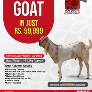 Qurbani Goat